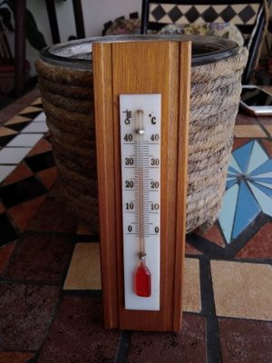 termometr rid..jpg