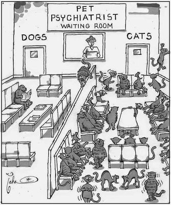 cats waiting room.jpg