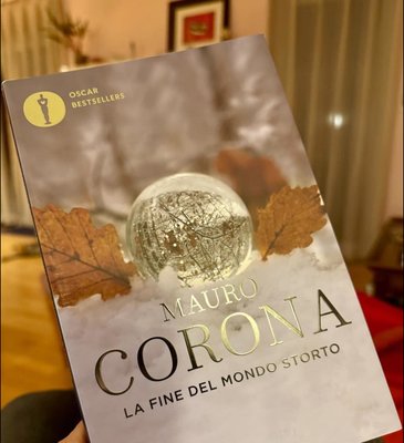 480909911_1797752871018439_7825540667977924736_n storto.jpg