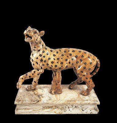 cq5dam.web.1280.1280 giaguaro.jpeg