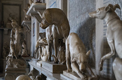 rom-musei-vaticani-hunde nnnn.jpg