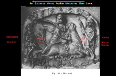 CIMRM-693-Museo-Civico-Bologna-schema MIT.jpg