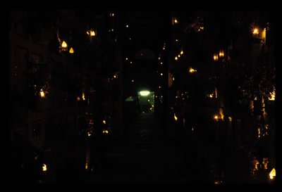 91_047_certosa_1 sott.jpg