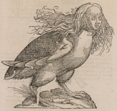 Arpia-da-Ulisse-Aldrovandi-Monstrorum-Historia-Bononiae-typis-Nicolai-Tebaldini.png