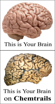 this-is-your-brain-on-chemtrails-sm.jpg
