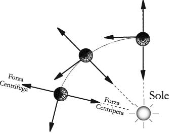 fig.jpg