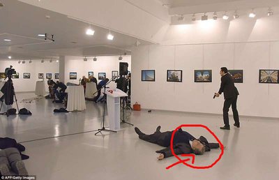 karlov-ucciso-859893.jpg