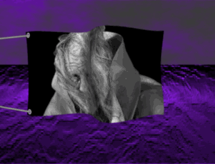 zio ot Flag.gif