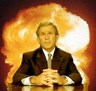 Bush-junior1.jpg