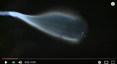 missile.jpg (22.15 KiB) Osservato 5195 volte missile.jpg