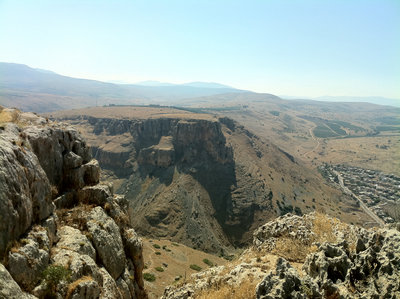 13 antico arbel .JPG