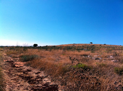 19 panoramica arbel2.jpg