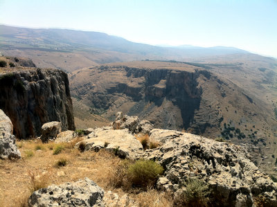 27 arbel nittai4.JPG