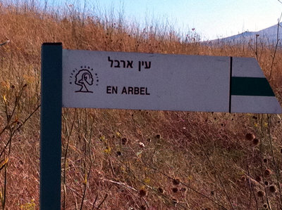 61 arbel fonte.jpg