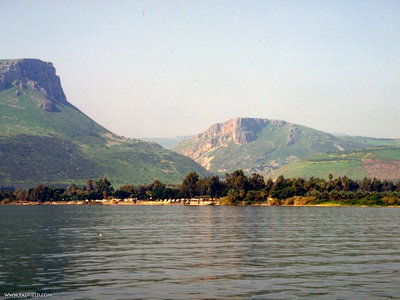 ARBEL 2.jpg