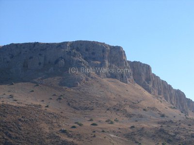 ARBEL 3.JPG