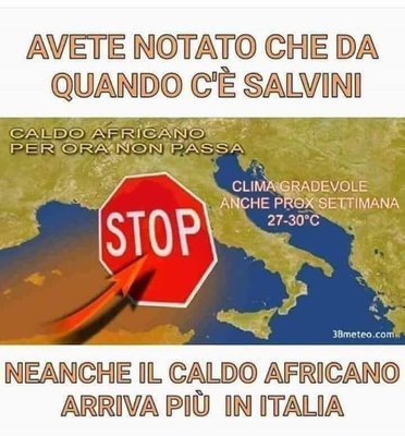 SALVINI.jpg