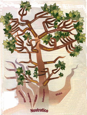 albero.jpg