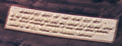 cartellino.png