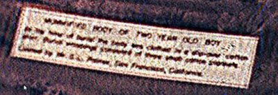 ingrandimento targhetta color.jpg