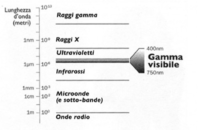 schema.jpg