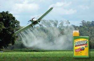 monsanto-roundup-300x197.jpg