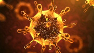 informareonline-coronavirus-6.jpg