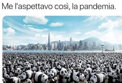 tumblr_e0048e426326563f1a75036d0e48477e_23ecbea3_1280.jpg