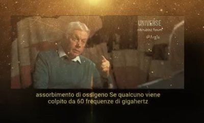 Immagine.jpguuuuuuu.jpg