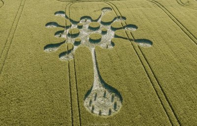 crop-circle-May-2020-May.-30-768x493-1.jpg