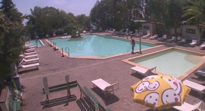 IMG_20200811_132000.jpg