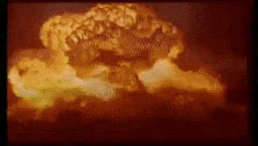 BowedBruisedHarborseal-small.gif