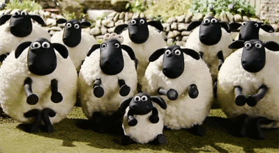 tumblr_mv762fMps71rxoepno1_500.gif