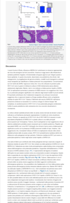 covgenesi5.png