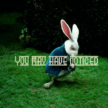 be5f0c0319.gif