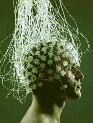 01-head-brain.gif
