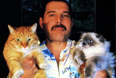 freddie-mercury-gatto.jpg