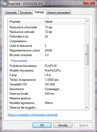 Immagine