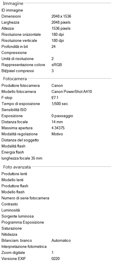 Immagine
